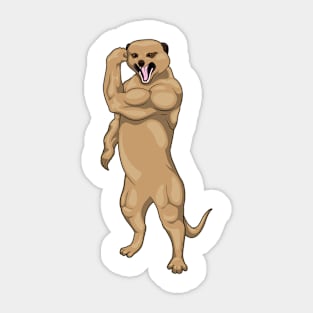 Meerkat Bodybuilder Bodybuilding Sticker